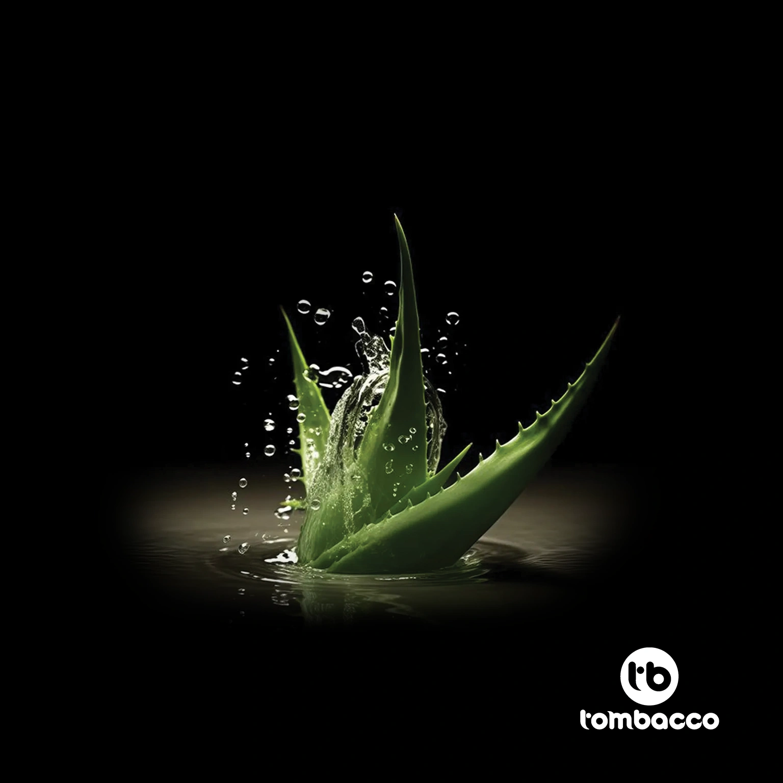 shisha tobacco - tombacco blackline aloe vera