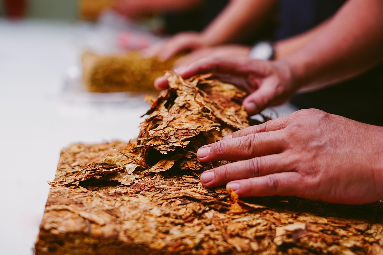 wholesale tobacco